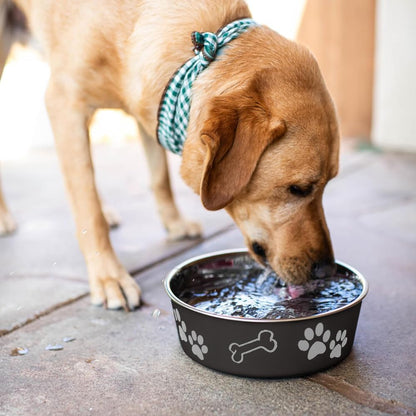 Bella Dog Bowls- Stainless Steel Dog & Cat Bowls - Spill Proof Dog Food Bowl, Cat Bowl, Puppy Essentials & Pet Supplies Great for Home & Travel (Medium 20-35 Lbs, Espresso)