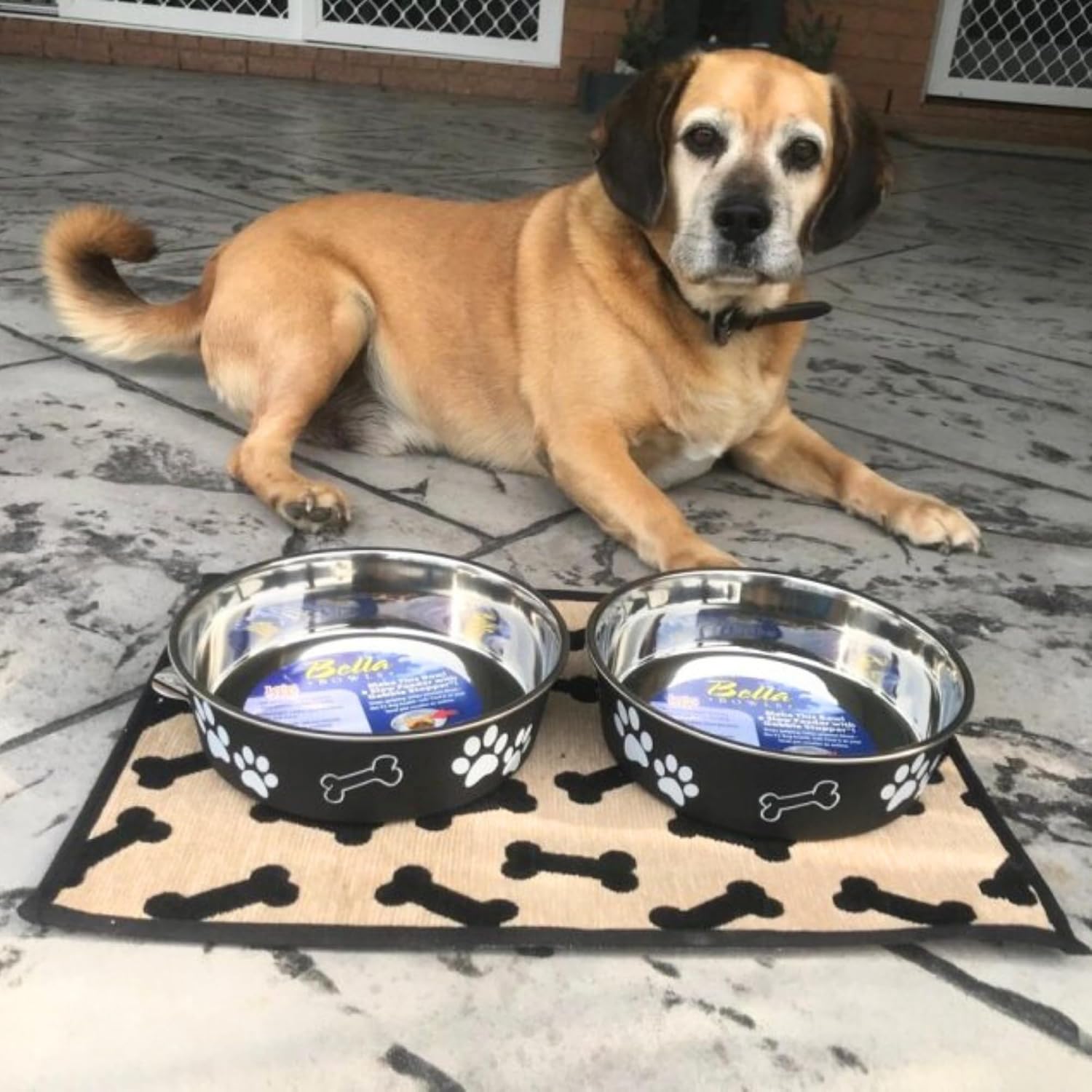 Bella Dog Bowls- Stainless Steel Dog & Cat Bowls - Spill Proof Dog Food Bowl, Cat Bowl, Puppy Essentials & Pet Supplies Great for Home & Travel (Medium 20-35 Lbs, Espresso)