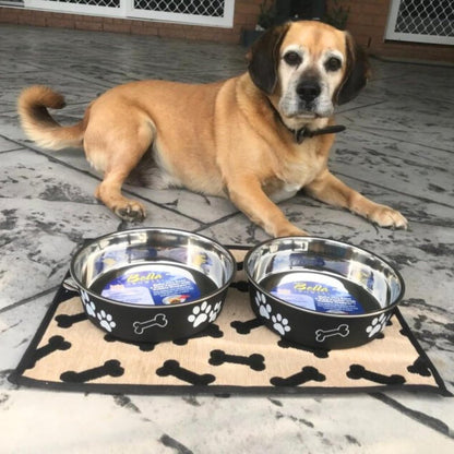 Bella Dog Bowls- Stainless Steel Dog & Cat Bowls - Spill Proof Dog Food Bowl, Cat Bowl, Puppy Essentials & Pet Supplies Great for Home & Travel (Medium 20-35 Lbs, Espresso)
